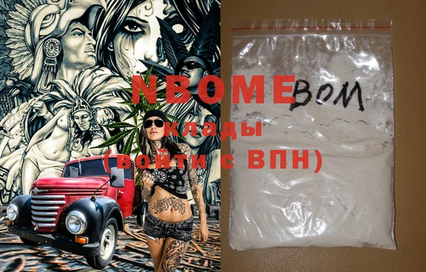 индика Верхний Тагил