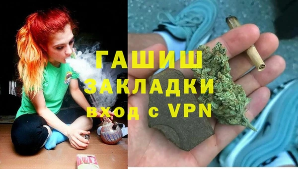 индика Верхний Тагил