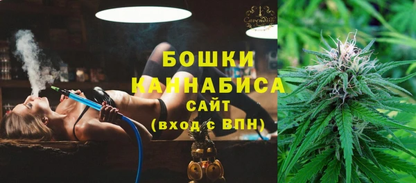 индика Верхний Тагил