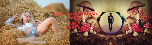 таблы Верея