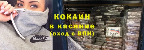 индика Верхний Тагил