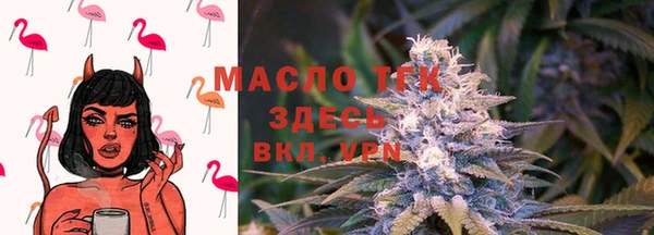 индика Верхний Тагил