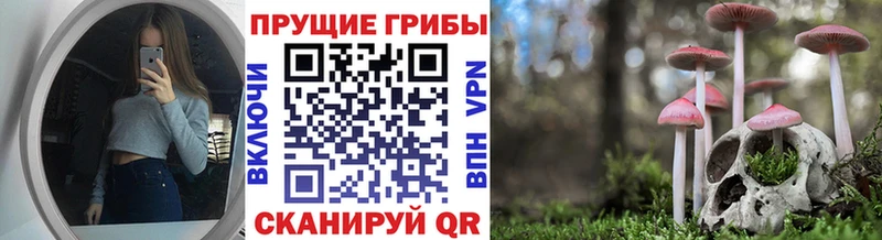 Купить закладки  Ярцево  Псилоцибиновые грибы MAGIC MUSHROOMS 