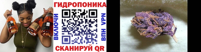Канабис Amnesia  Купить где  Ярцево 